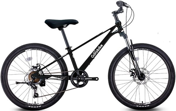 Xe đạp địa hình thể thao Gorobike Raptor Plus 24